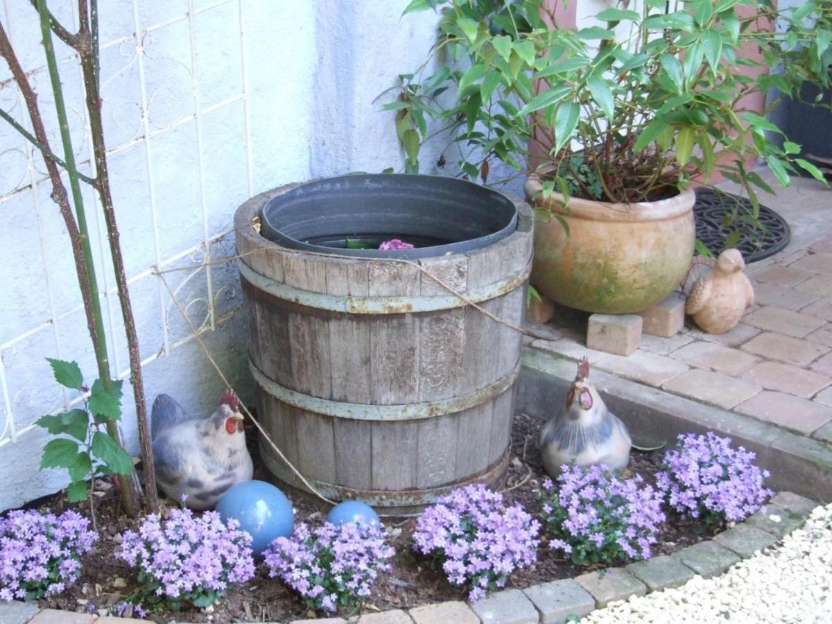 Schoenbachhof Silz  Εξωτερικό φωτογραφία